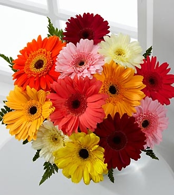 Colorful Gerbera Daisy Bouquet