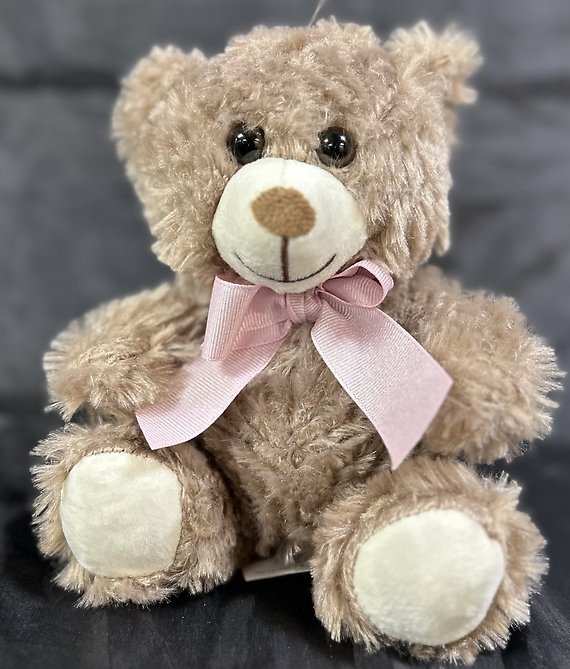 Light Brown Bear w/Pink Bow