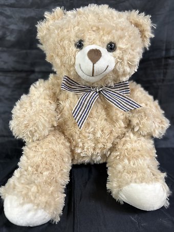 Bear with Plaid Bow