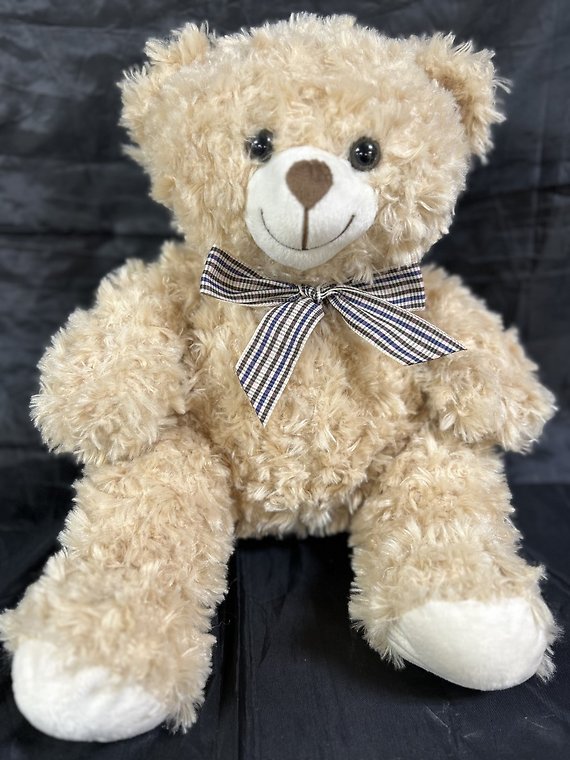Bear with Plaid Bow