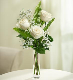 Love\'s Embrace Roses™ White