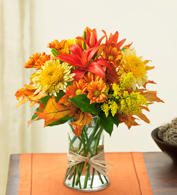 Fields of Europe for Fall