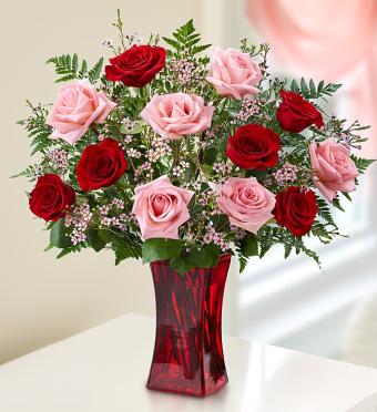 Shades of Pink and RedÃ¢?Â¢ Premium Long Stem Roses