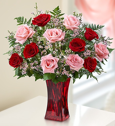 Shades of Pink and Redâ„¢ Premium Long Stem Roses