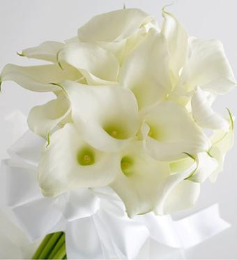 Miniature Calla Lily Bride\'s Bouquet