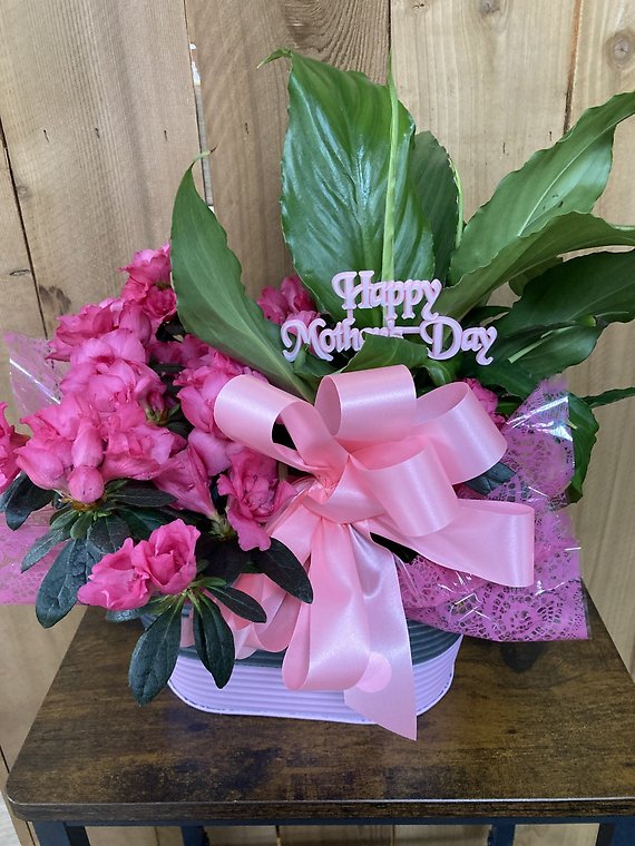 Double 4\" Plant Basket