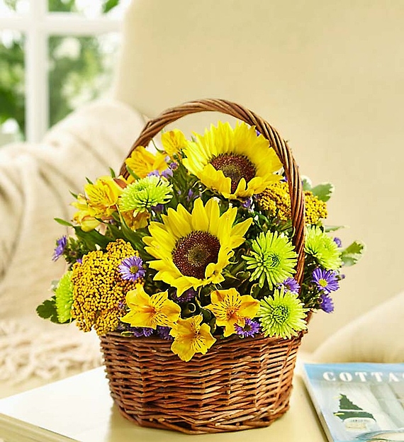 Fields of Europe&trade; for Summer Basket