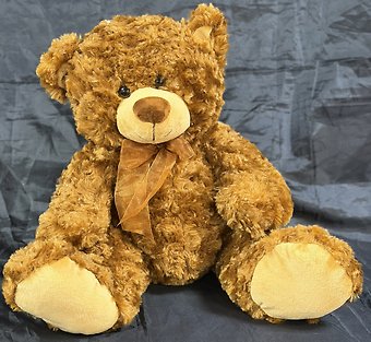 Large Brown Bear