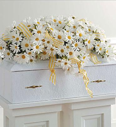 Infant Casket Spray with Daisies