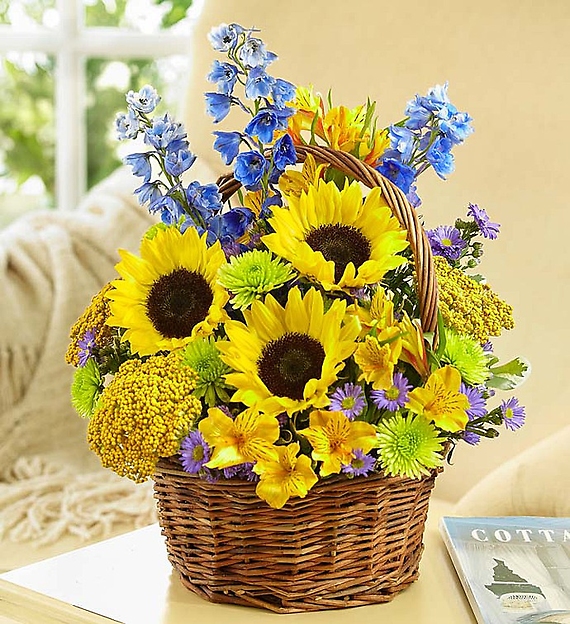 Fields of Europe&trade; for Summer Basket