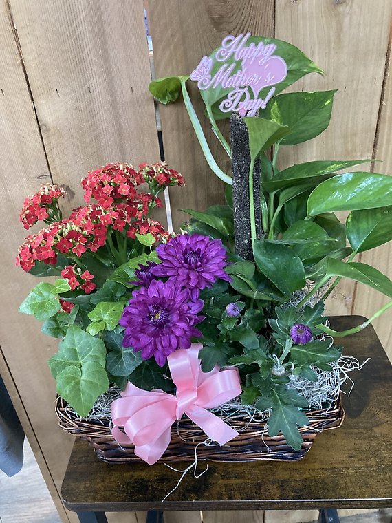 Mother\'s Day Dish Garden