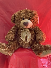 Large Brown Bear With Tan Bow