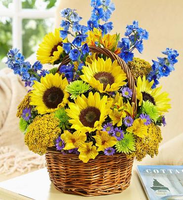 Fields of Europe&trade; for Summer Basket